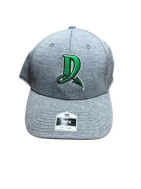 NWT Dayton Dragons Gray Adjustable Snapback Baseball Cap OSFA MiLB